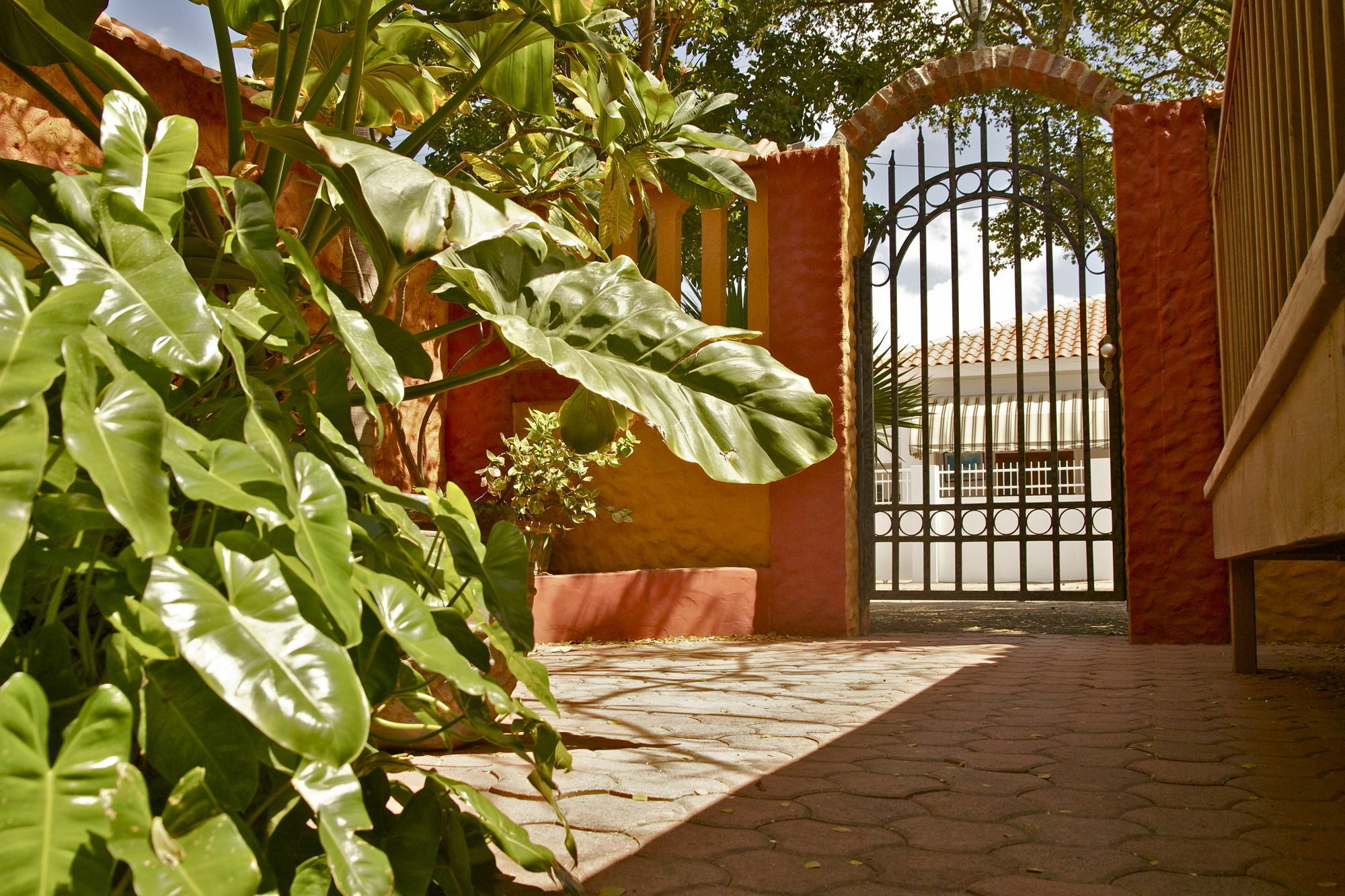 Flamboyant Garden Villas Οράνχεσταντ Εξωτερικό φωτογραφία